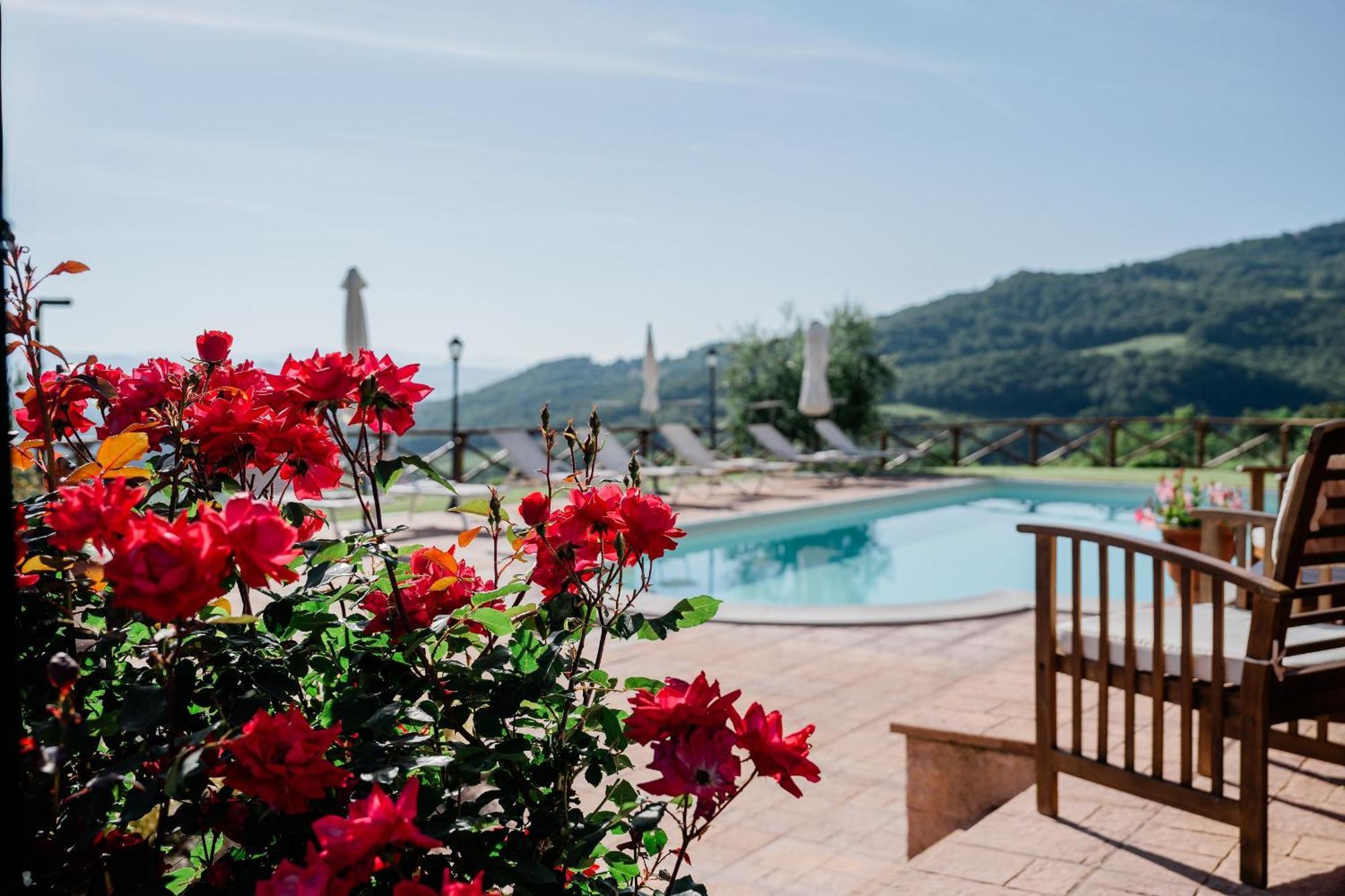 Апартаменти La Casa Di Sofia Poggio Aquilone Екстер'єр фото